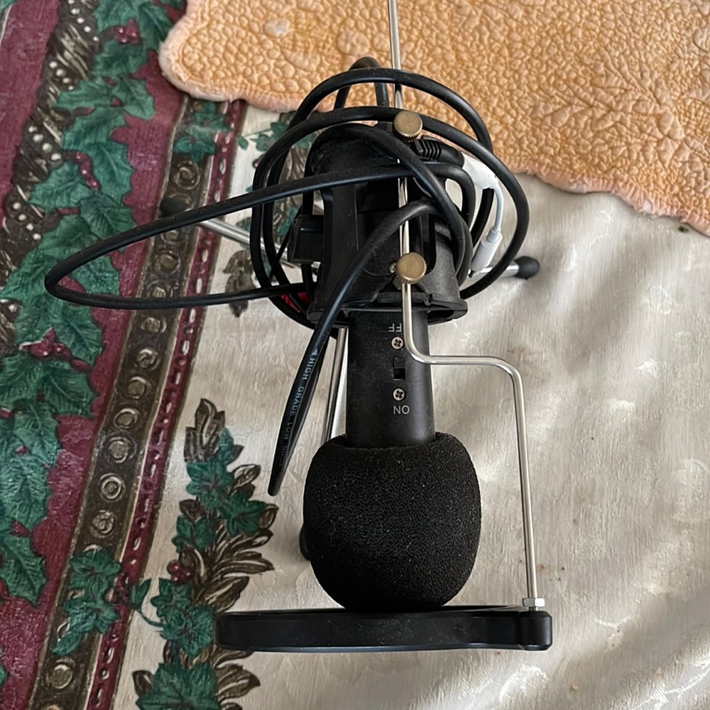 Black mic